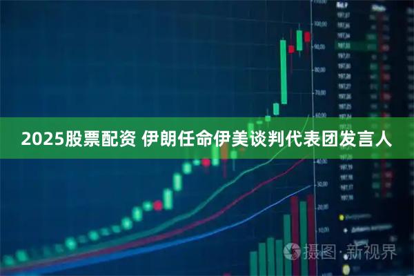 2025股票配资 伊朗任命伊美谈判代表团发言人
